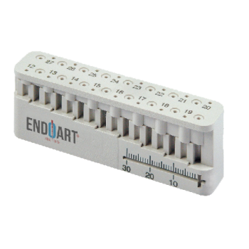Endometre