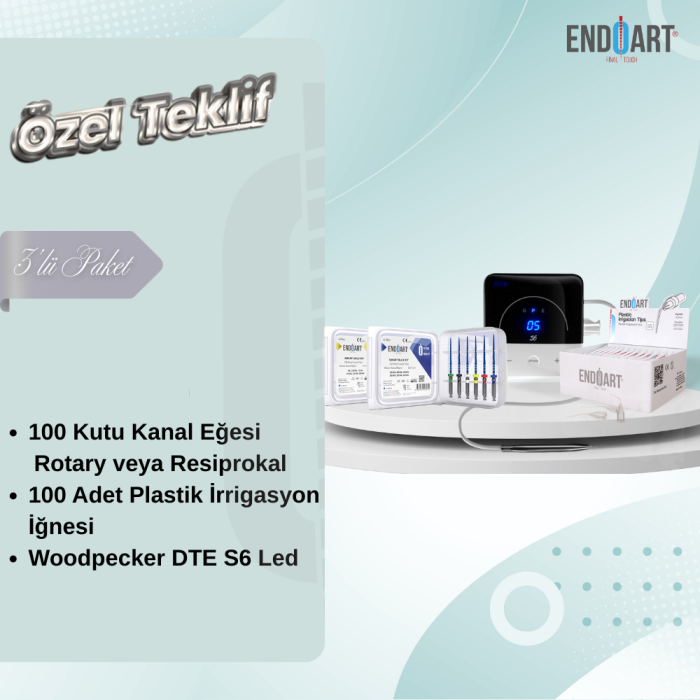 100 KUTU KANAL EĞESİ + WOODPECKER DTE S6 LED ULTRASONİC SCALER + 100 ADET İRRİGASYON