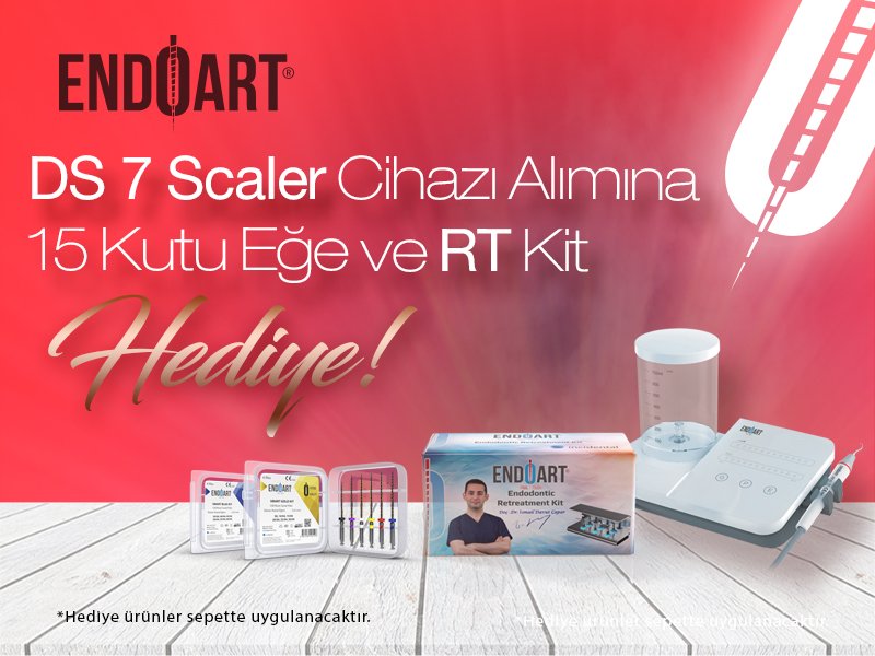 DS7 SCALER KAMPANYASI MOBİL