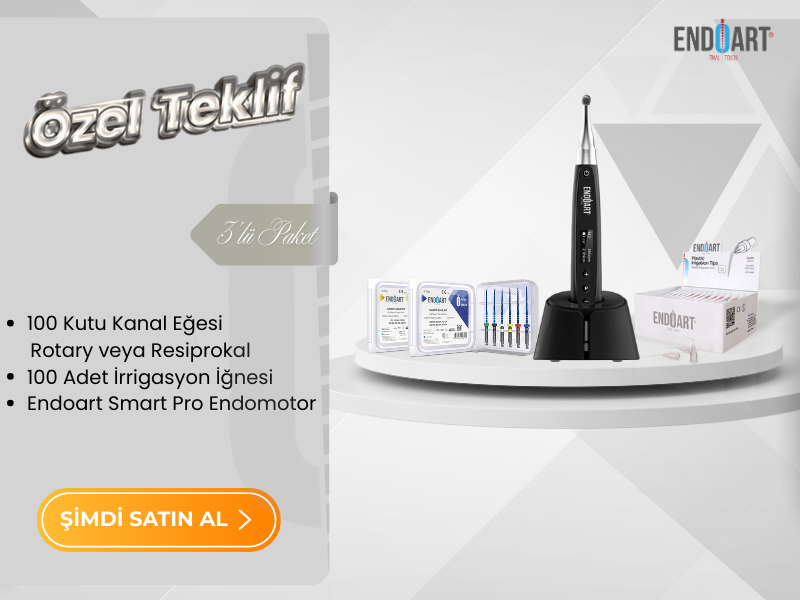 WOODPECKER PRO ENDOMOTOR MOBİL